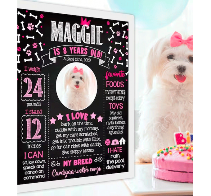  Dog girl Birthday Milestone Template with photo